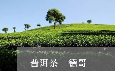 普洱茶 德哥/2023042717999